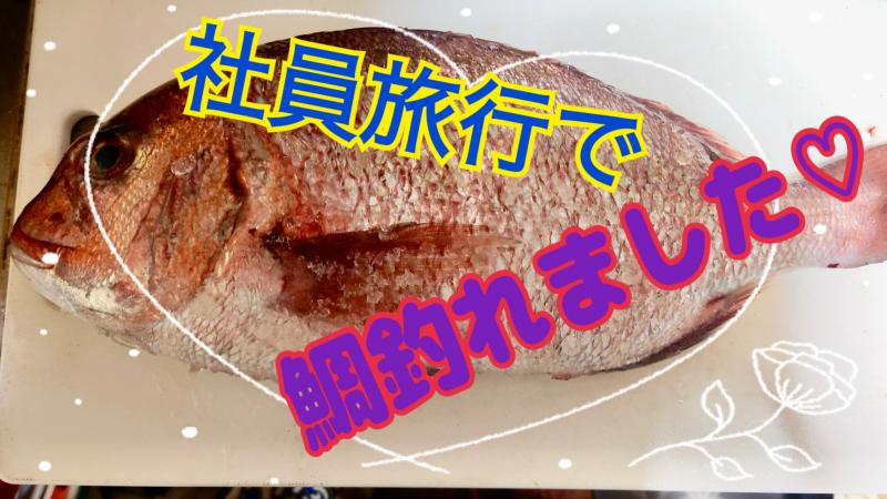 花見旅行〜in淡路島🎵